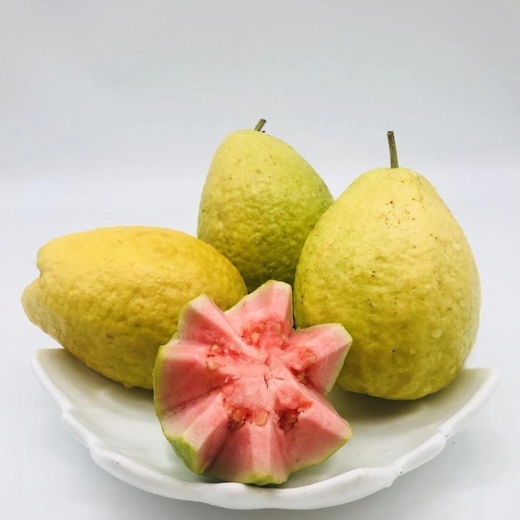 李波-IMG_7027-FZ10023860711