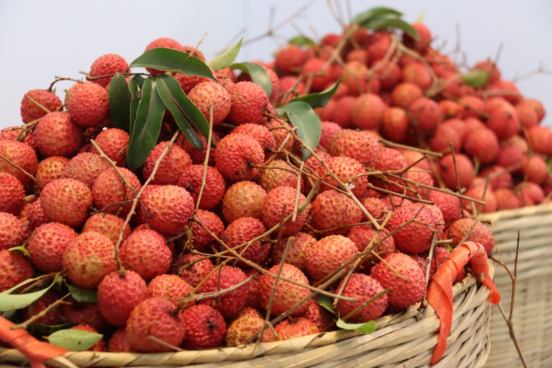 乔军伟-微信图片_20220703172013-FZ10028686693.jpg 乔军伟-微信图片_20220703172013-FZ10028686693.jpg