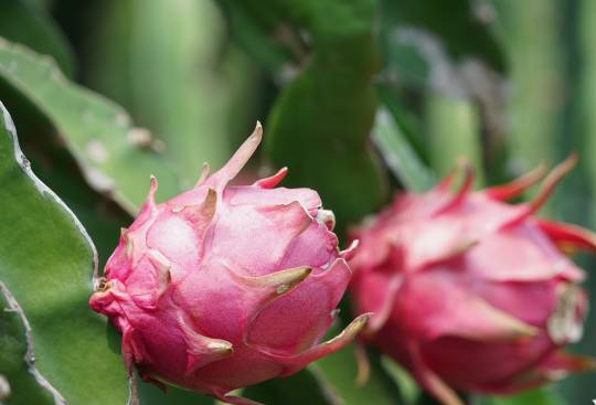 961e3c53429f43a6a33dd32f3c2f1c13_watermark 961e3c53429f43a6a33dd32f3c2f1c13_watermark