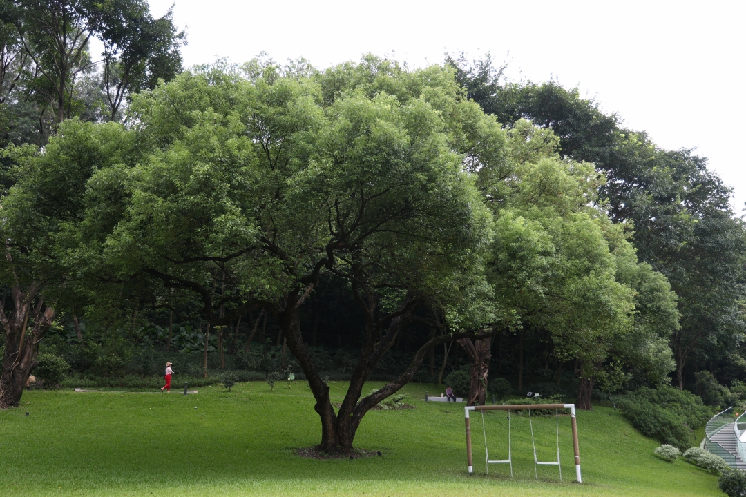 微信图片_20240808135356