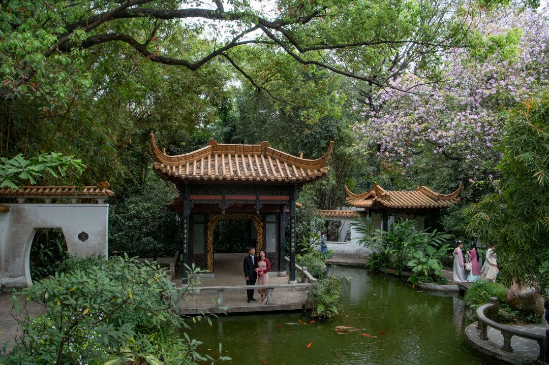 杨耀烨-【粤韵周刊】兰圃芳华园-FZ10029872763.jpg