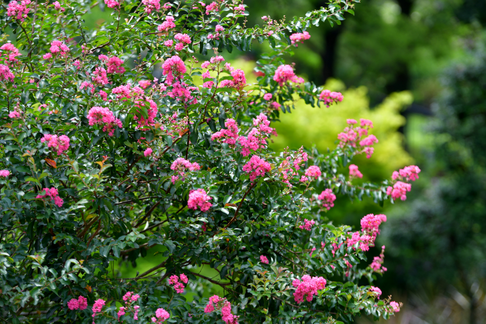 微信图片_20240811192846