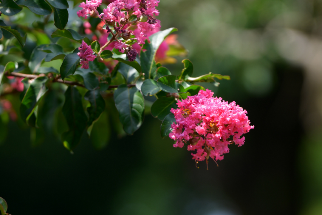 微信图片_20240811192900