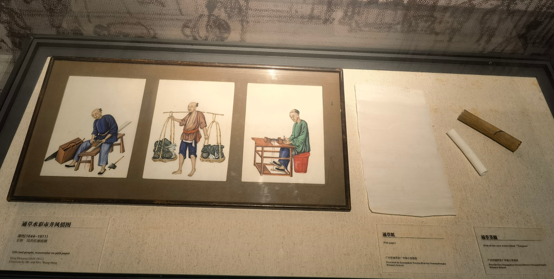 IMG_20240712_092824 IMG_20240712_092824