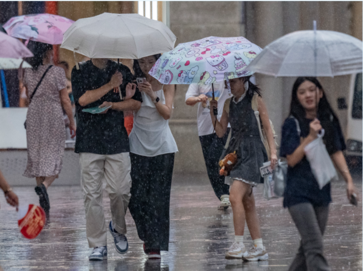 微信图片_20240812190905