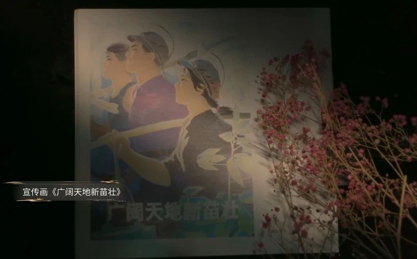 微信图片_20240820122320