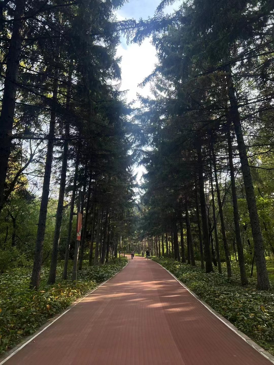 微信图片_20240823134730