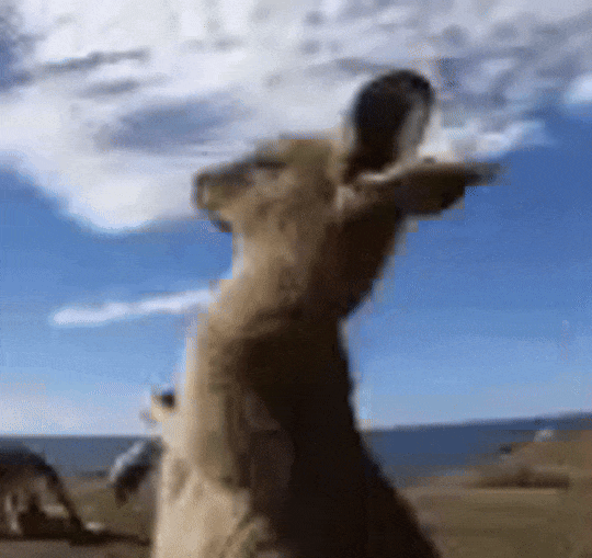 640 (2).gif 640 (2).gif