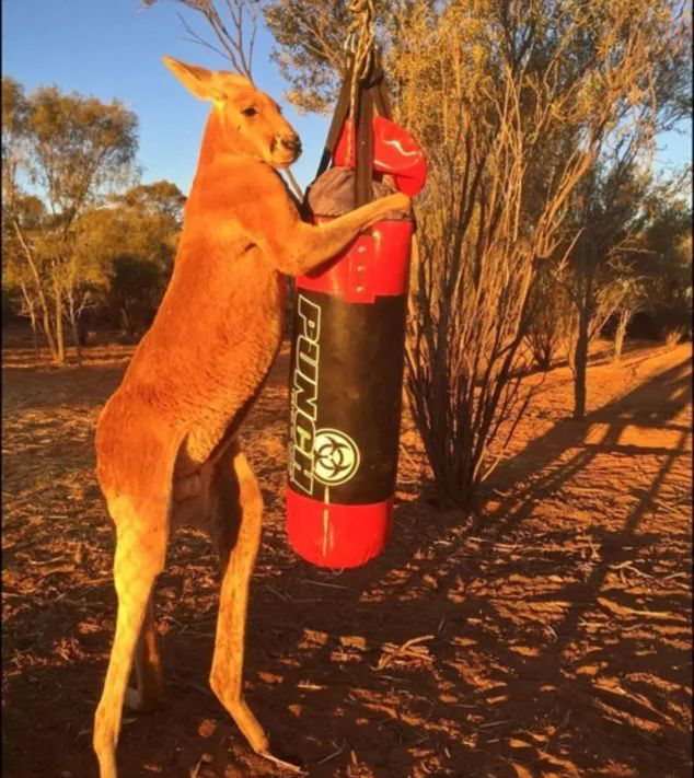 640 (7).png 640 (7).png