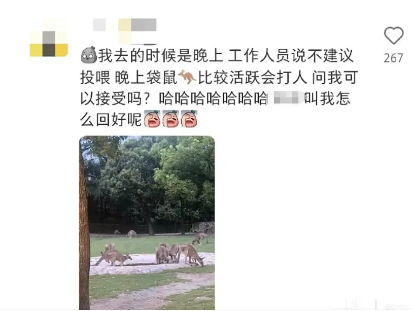 1f958787a606806a037571829d9f7c8.png 1f958787a606806a037571829d9f7c8.png