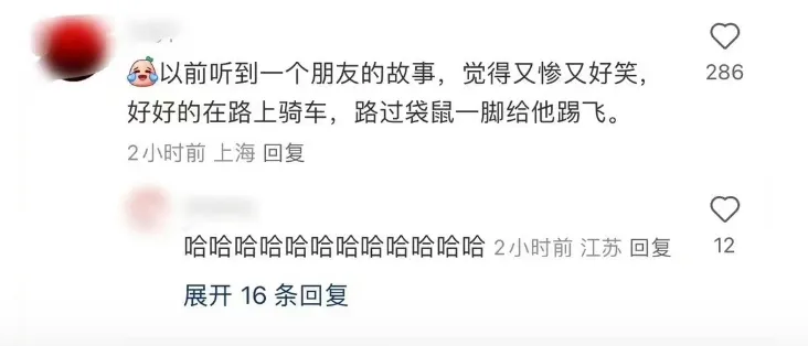 8631149f3d6f26eda2a089f1457c079.png 8631149f3d6f26eda2a089f1457c079.png