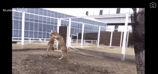 640 (3).gif 640 (3).gif