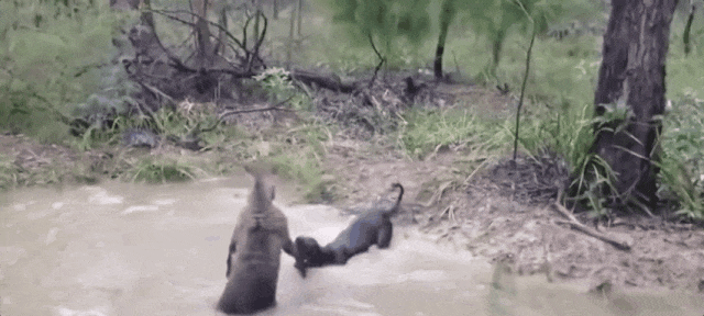 640 (4).gif 640 (4).gif