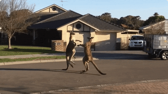 640 (5).gif 640 (5).gif