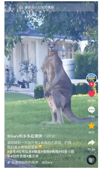 6c63221252c5ee31fffdeedb7c943bf.png 6c63221252c5ee31fffdeedb7c943bf.png