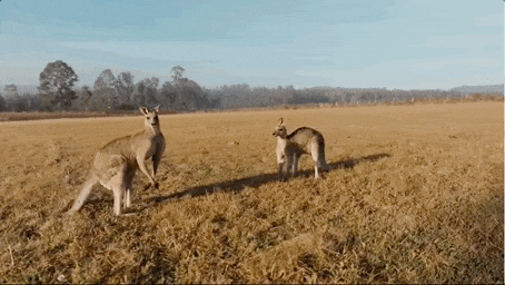 640 (9).gif 640 (9).gif