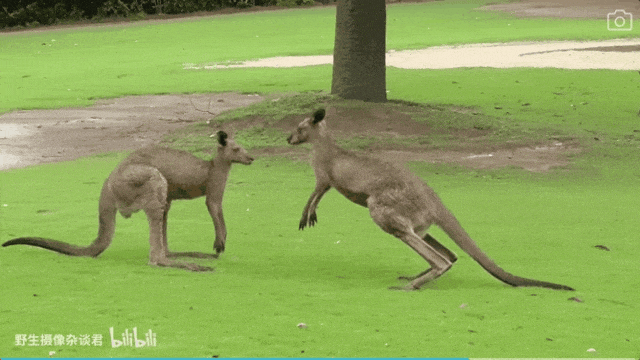 640 (10).gif 640 (10).gif