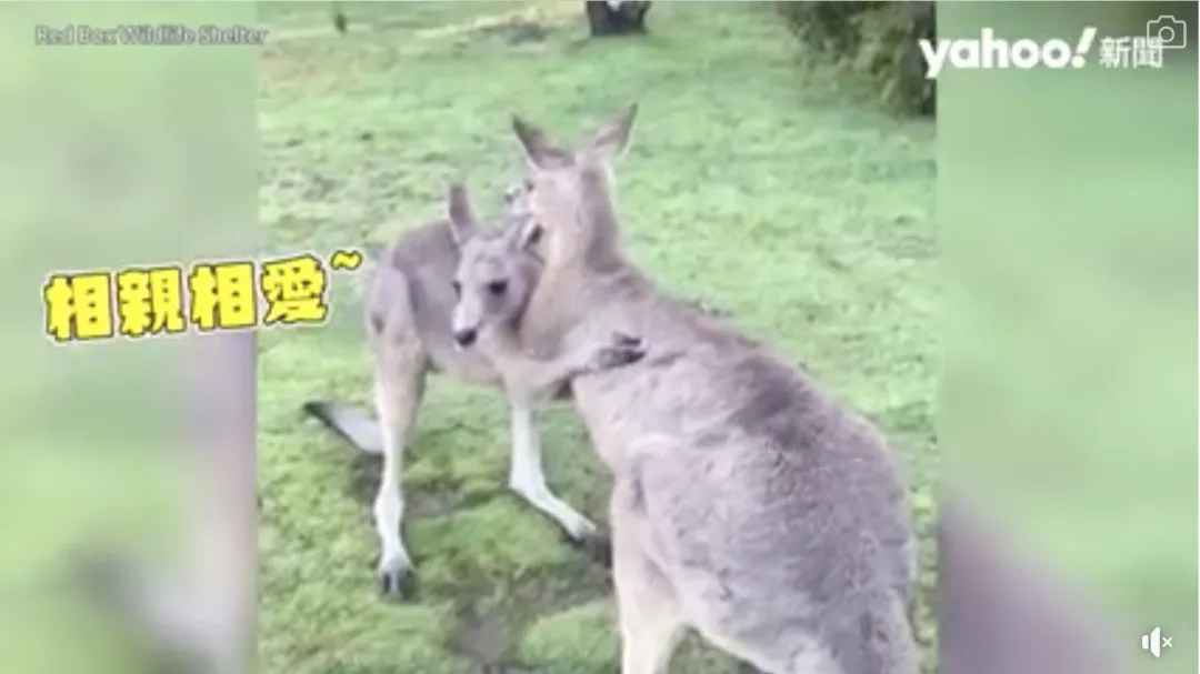 6e11266cc7d695c57bf353f83566fd0.png 6e11266cc7d695c57bf353f83566fd0.png