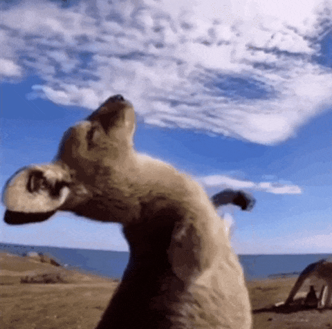 640 (12).gif 640 (12).gif