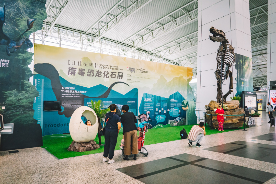 “藏龙卧鳄 破壳而出——南粤恐龙化石展”白云国际机场现场