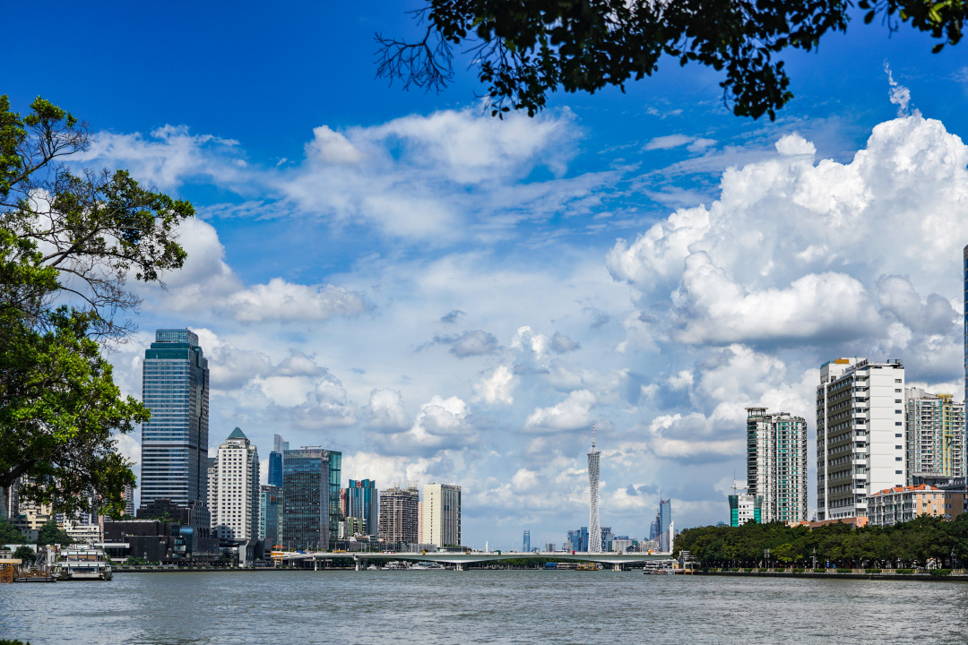 吴子良-WZL07679-NEP1_20240708_C00412253596