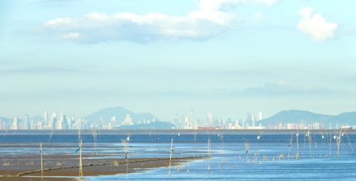 崖口村海天一色 谢丽梅 摄