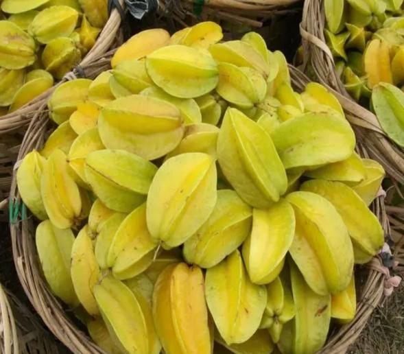 图片34.jpg 图片34.jpg