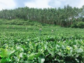 图片20.jpg 图片20.jpg