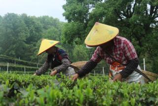 图片21.jpg 图片21.jpg