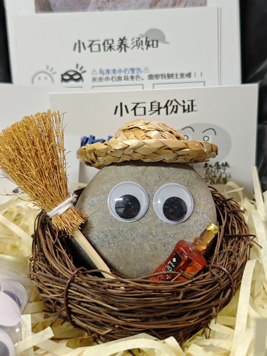 叶子在卖的“宠物石”1