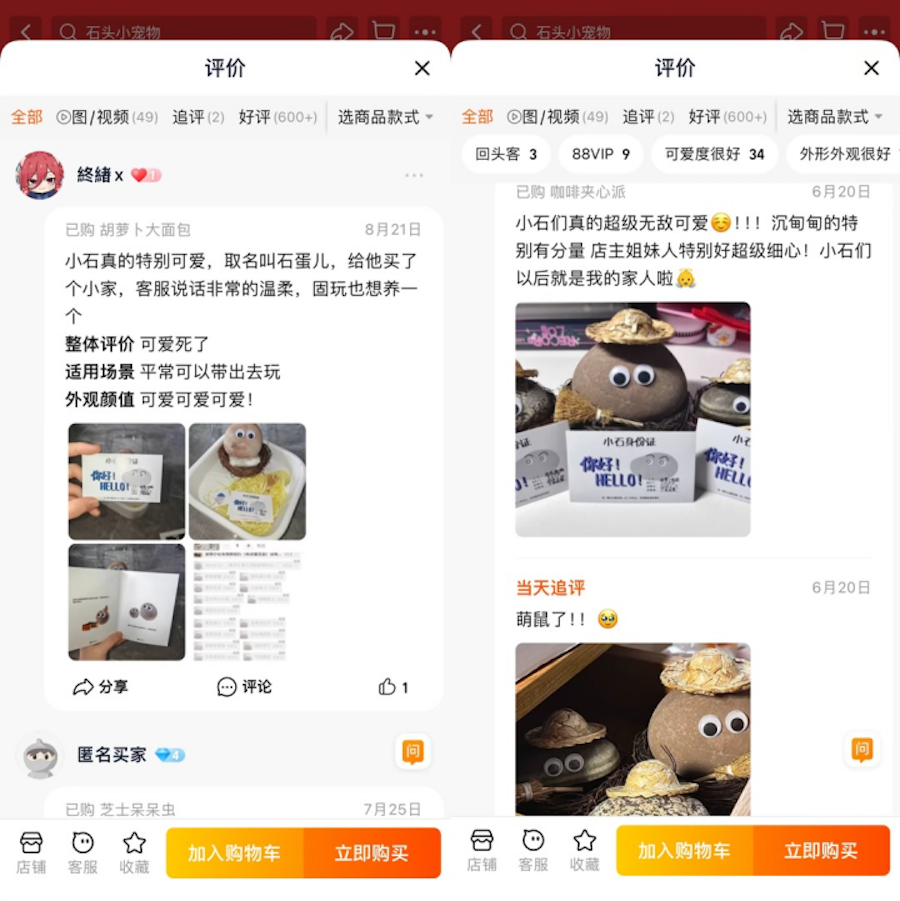 网友们对“宠物石”的评价