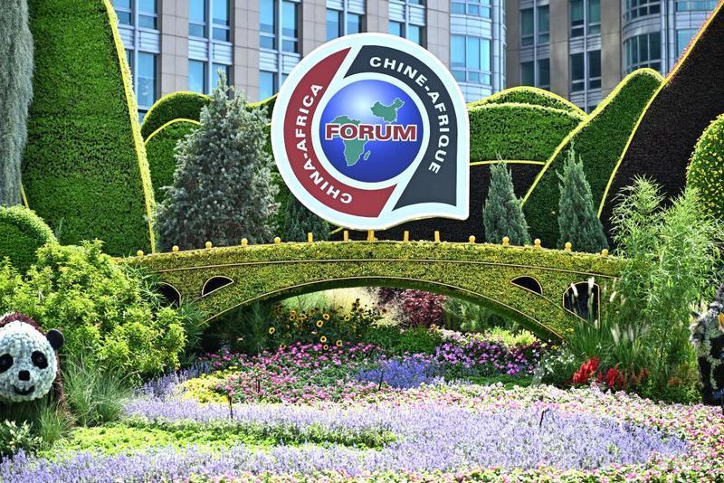 图说: 2024年中非合作论坛北京峰会长安街东单东南角“命运与共”主题花坛《丝路金桥》景观