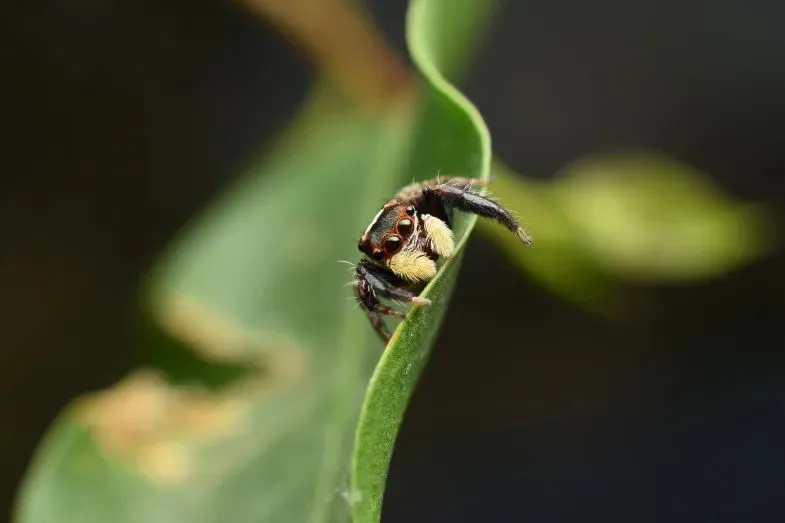 60db6eba2eeec5d60e80a045b4ee046