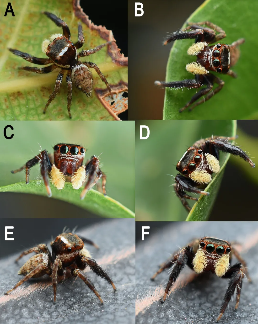 5c9442c37c922d949c5ea63b3aa77c1