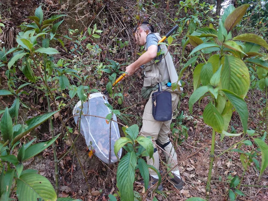 0feda9a266fd9b78ae61523681705a5