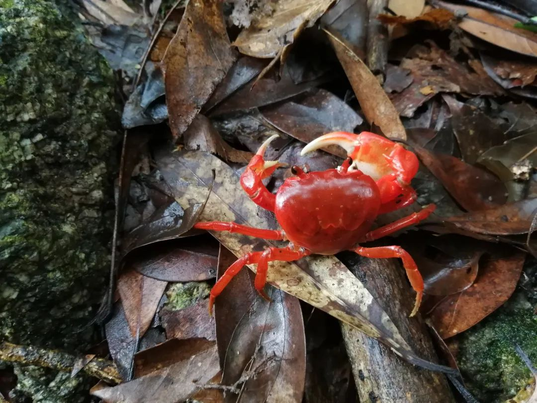 d5c0d769041efae14d46d5a6fb70c83