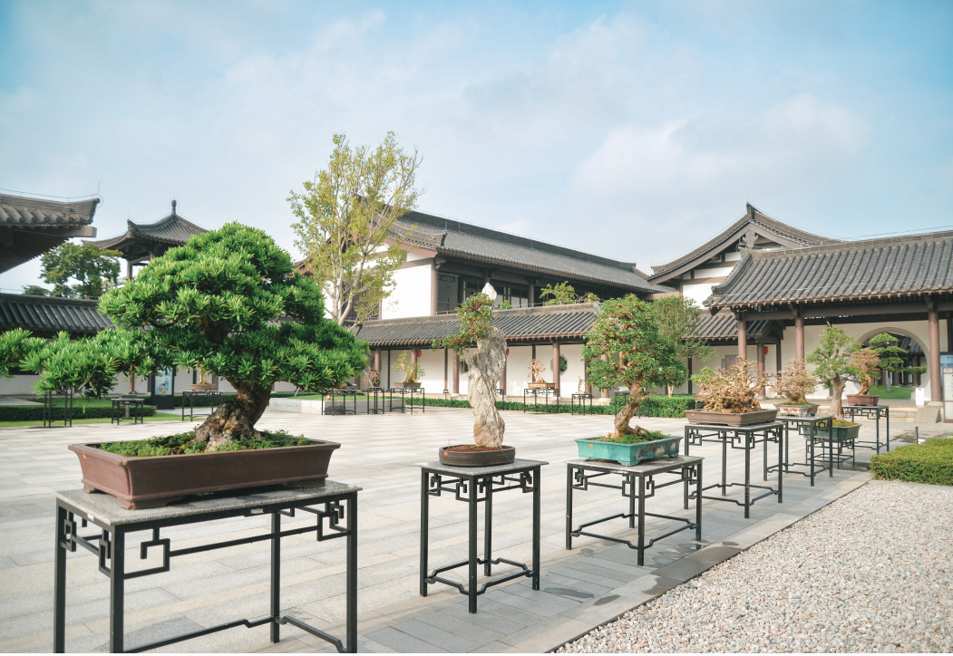 9e7e54519e4b405693e1eccf2f5bcfa5.jpg 9e7e54519e4b405693e1eccf2f5bcfa5.jpg