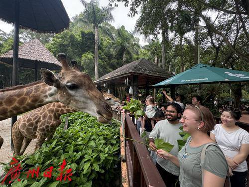 Visitors taking a sightseeing train tour