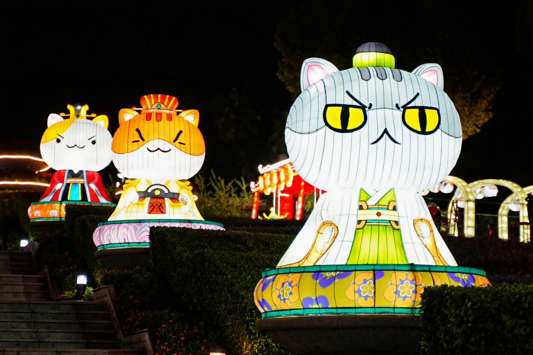 瓜子、拉面、水饺(从前往后)