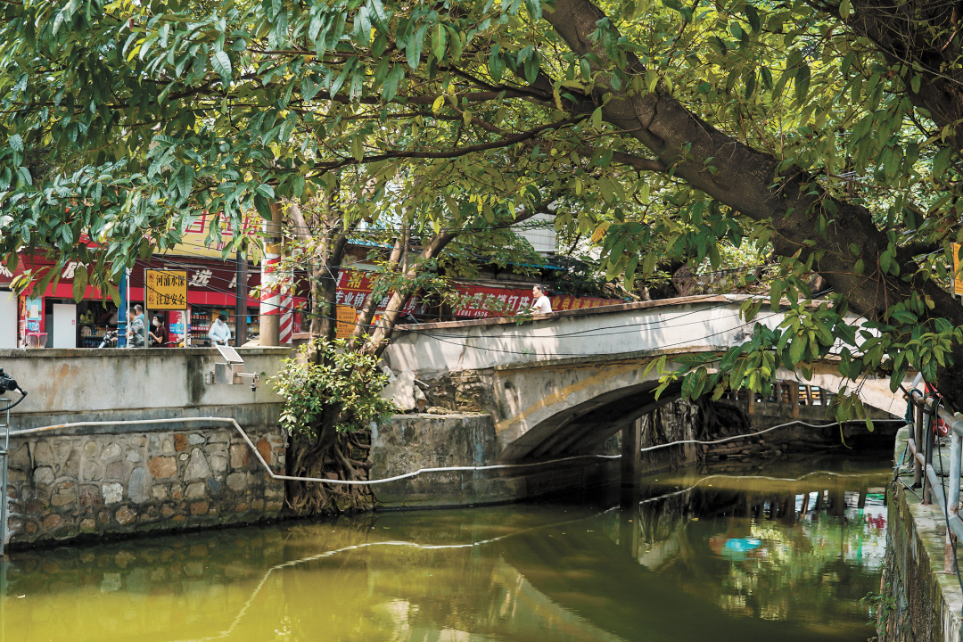 吴子良-WZL01932-FZ102812610878