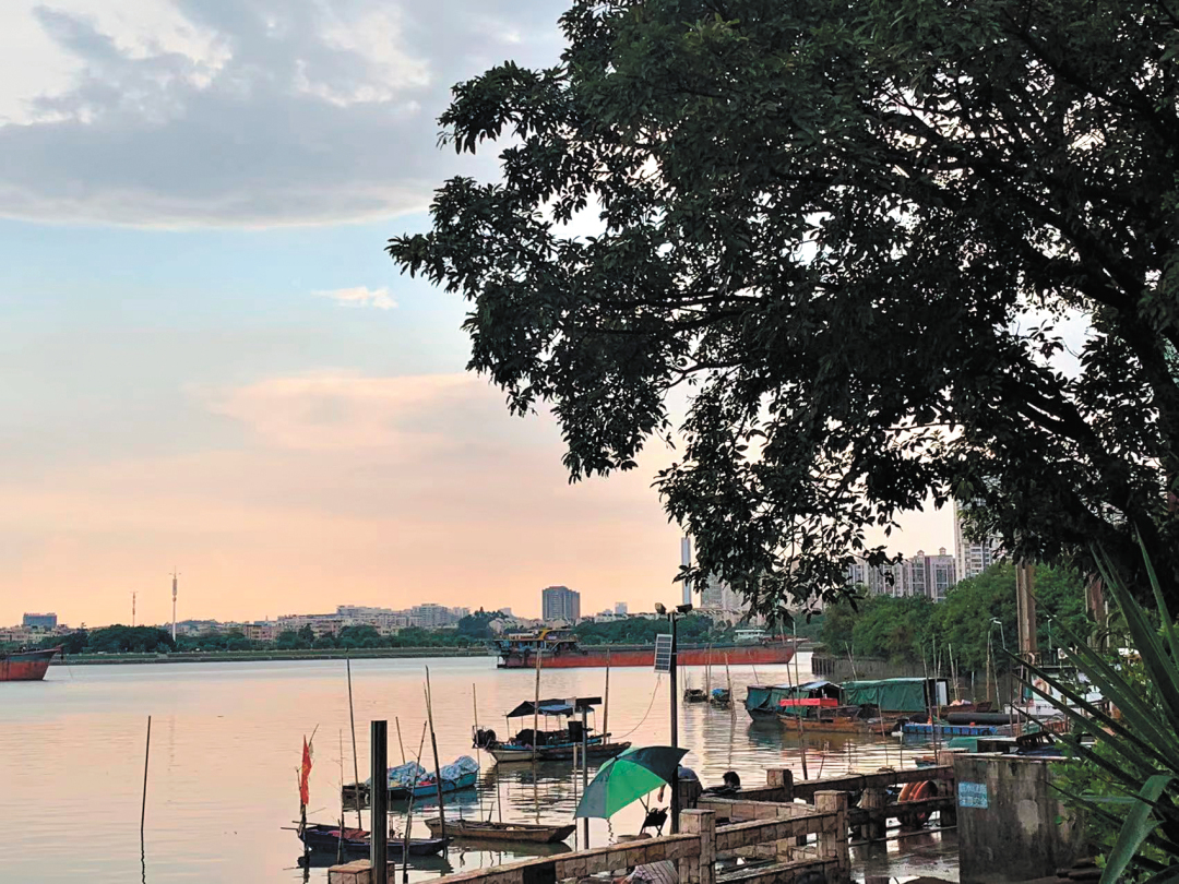 倪明-大埗码头-FZ102812610346