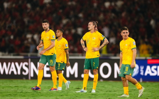 搜狗截图24年09月19日1940_1