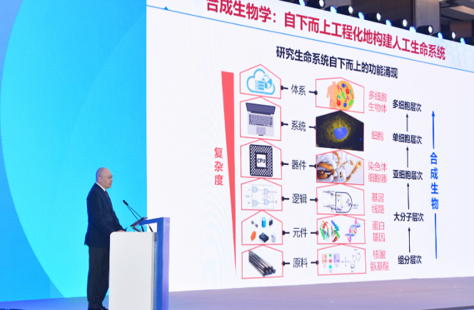 微信图片_20240920062201