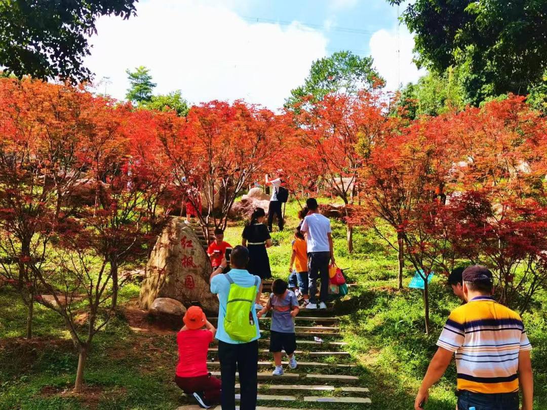 庄小龙-醉美”秋色邀您来赏！帽峰山第五届红叶观赏-FZ100212650444.jpg