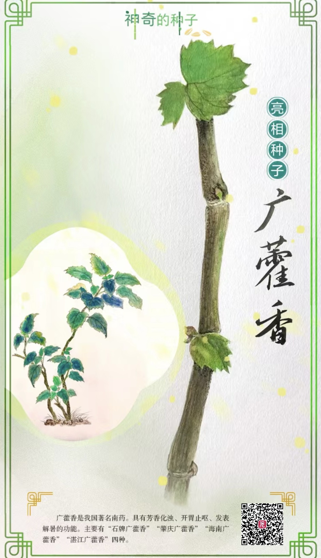 image_1727048367.195350