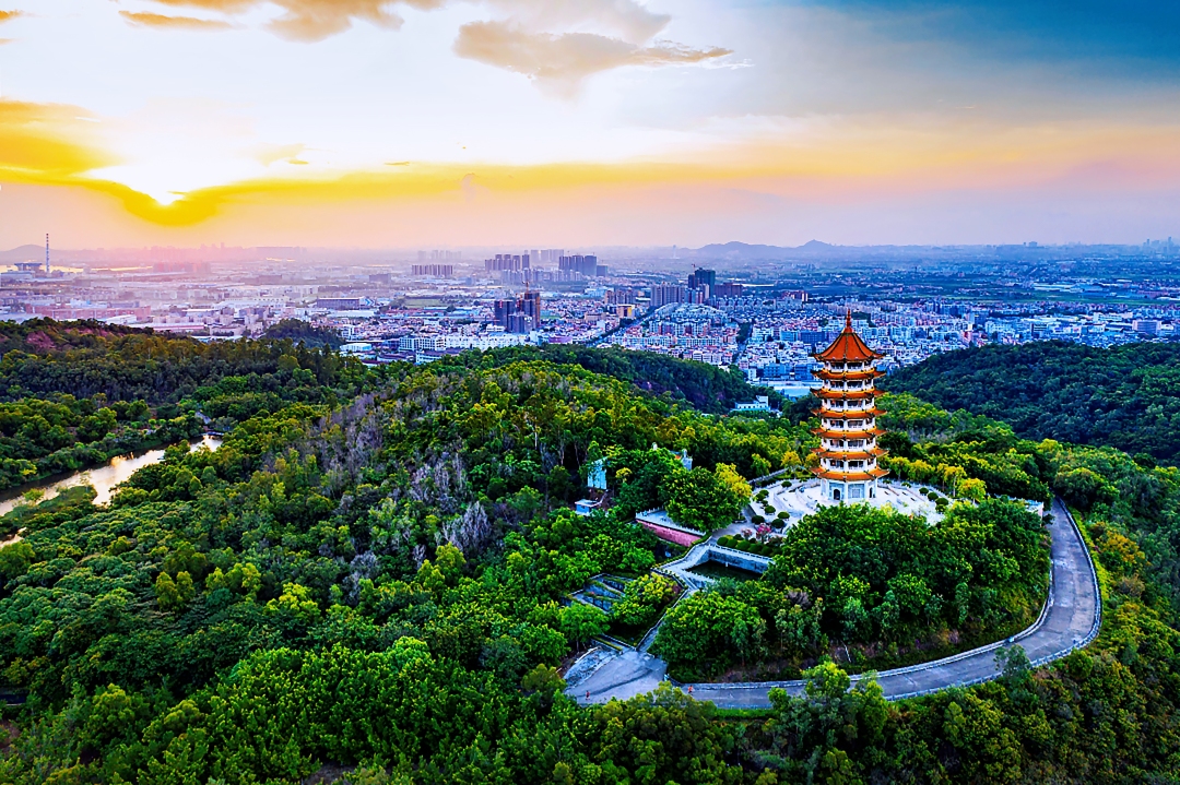 莫伟浓-年产值超60亿元!南沙制造业重镇招商“大-FZ100212655287.jpg 莫伟浓-年产值超60亿元!南沙制造业重镇招商“大-FZ100212655287.jpg