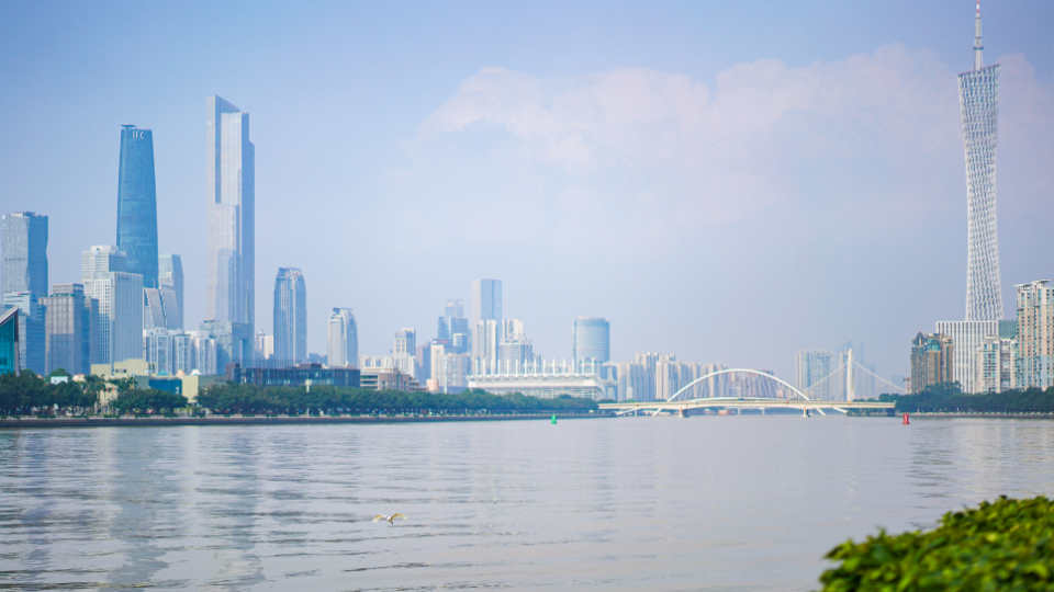 7851843318f943d290ad27411743f626