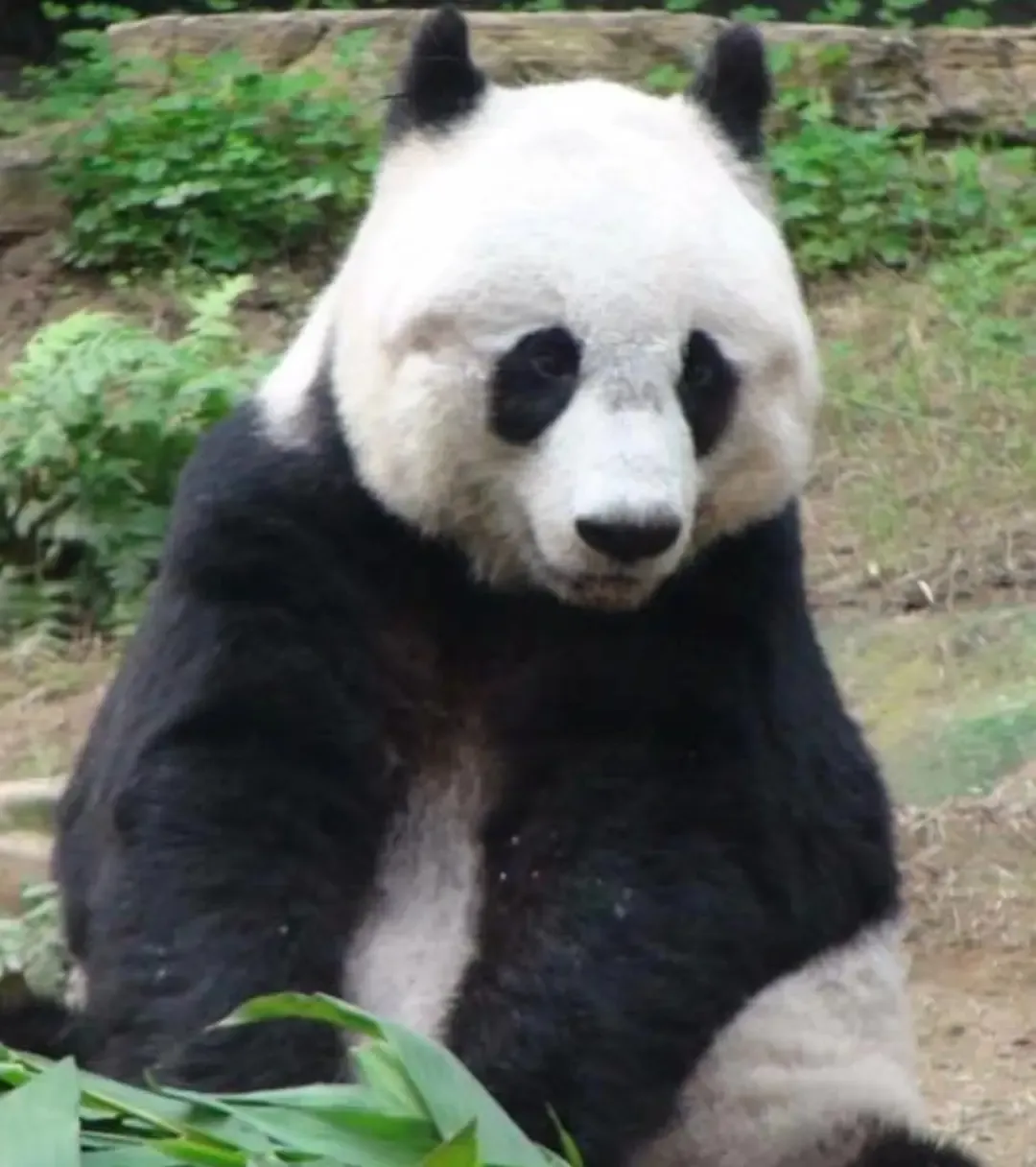 微信图片_20240926224640