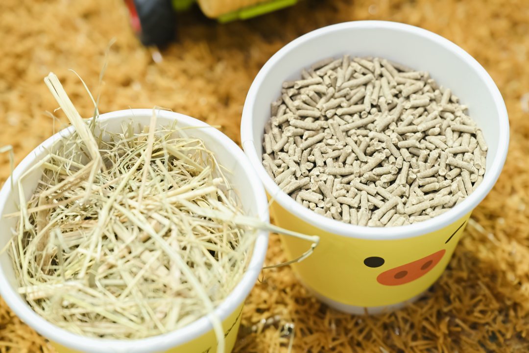 ZPW_5465-opq3223170367_副本.jpg ZPW_5465-opq3223170367_副本.jpg