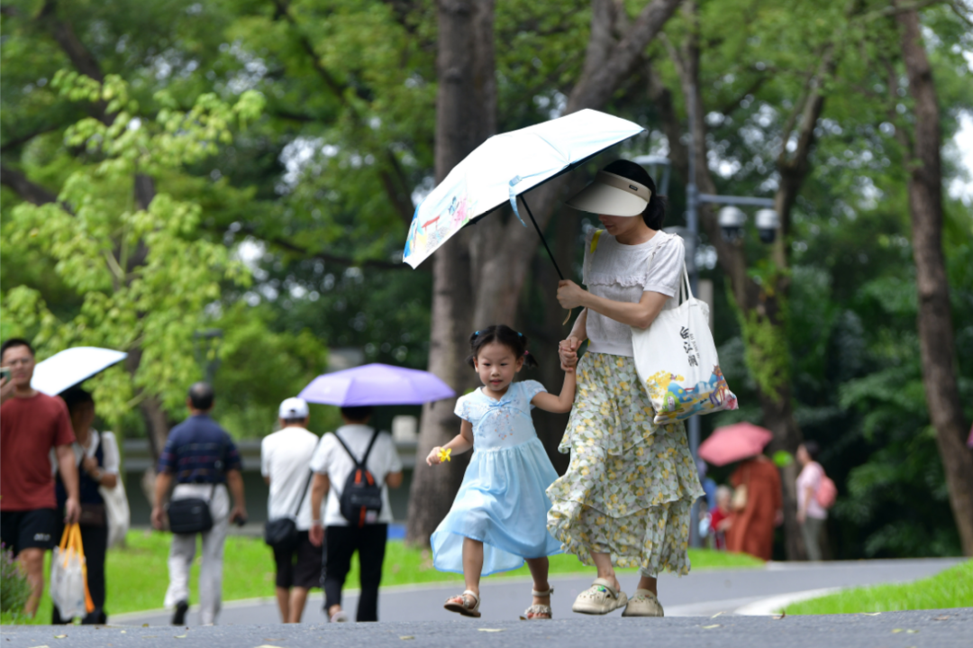 微信图片_20241002152005